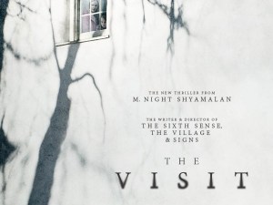 the_visit