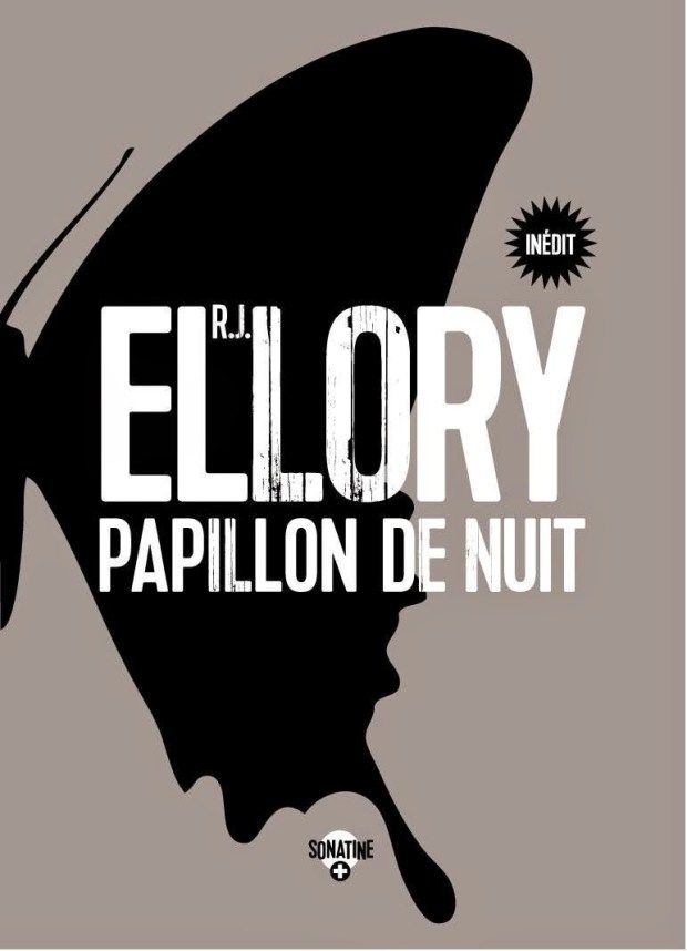 papillon_de_nuit