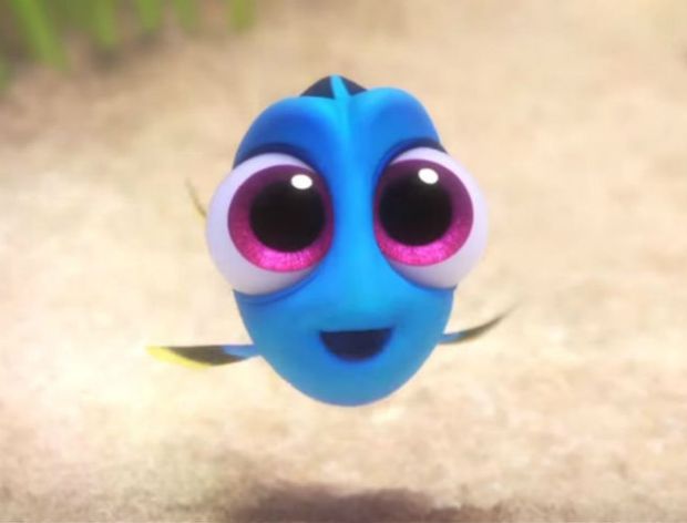 baby_dory