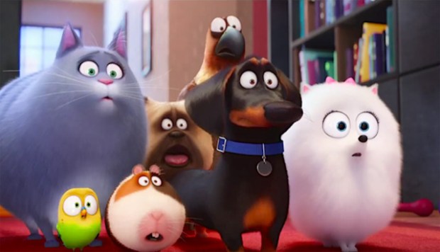 comme_des_betes_illumination