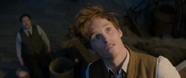 eddie_redmayne_les_animaux_fantastiques