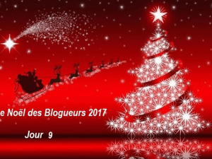 noel_des_blogueurs_2017_jour_9