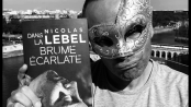 dans_la_brume_ecarlate_nicolas_lebel_contagieux